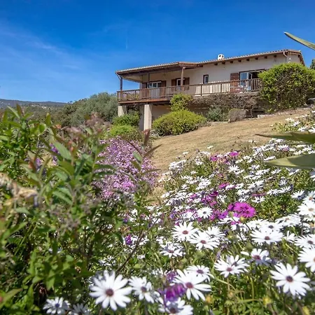 Casa vacanze De Charme 6 Couchages - Vue Et Montagne - Tassinca - Soléa